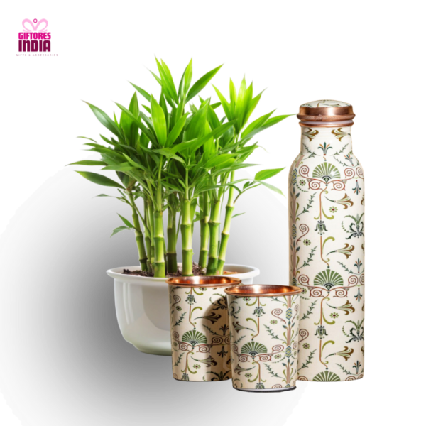 Bamboo Plant N Copper Bottle Gift Set