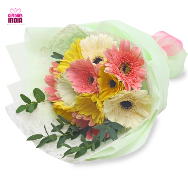 Captivating Mix Gerbera Flowers Bouquet