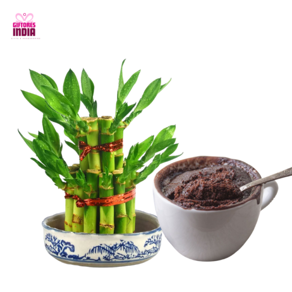 Chocolate Mug with Lucky Bamboo - Unique Anniversary Gifts