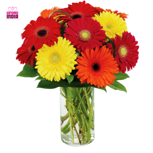 Mix Gerbera Flowers in Glass Vase Arrangement