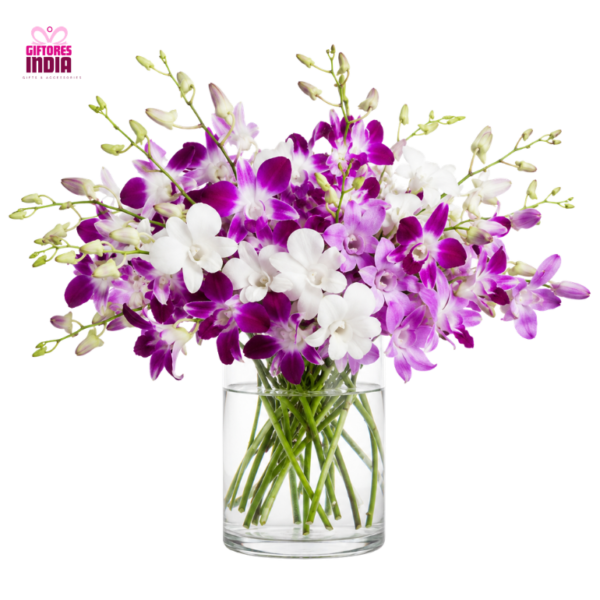Purple & White Orchids in Glass Vase