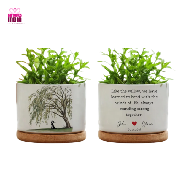 Two Money Plant with Couple Designed Pot - Unique Anniversary Gifts