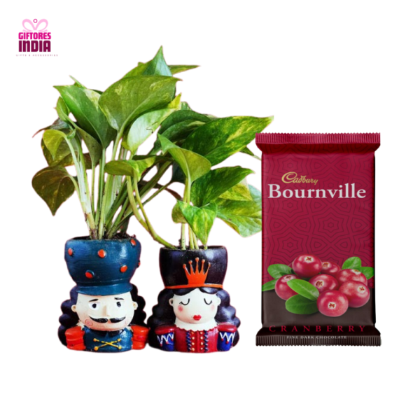 Two Money Plant with Designer Couple Pots and Bournville Chocolate